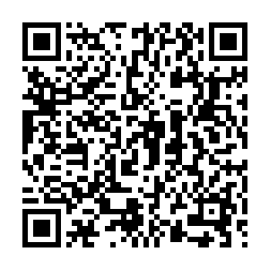 Lien vers votre campagne QRCode - Collecte de fonds