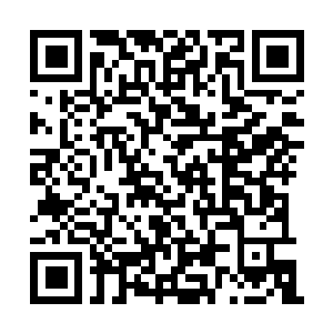 Lien vers votre campagne QRCode - Collecte de fonds