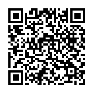 Lien vers votre campagne QRCode - Collecte de fonds