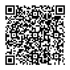 Lien vers votre campagne QRCode - Collecte de fonds