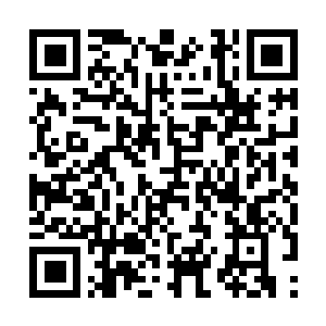 Lien vers votre campagne QRCode - Collecte de fonds