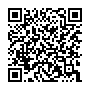 Lien vers votre campagne QRCode - Collecte de fonds