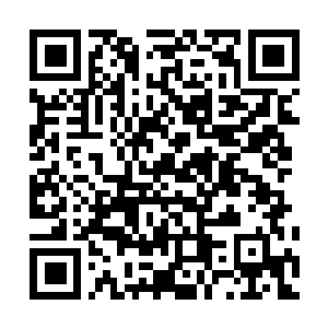 Lien vers votre campagne QRCode - Collecte de fonds