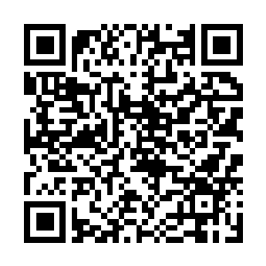 Lien vers votre campagne QRCode - Collecte de fonds