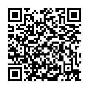 Lien vers votre campagne QRCode - Collecte de fonds