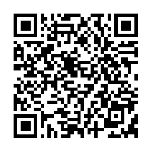 Lien vers votre campagne QRCode - Collecte de fonds