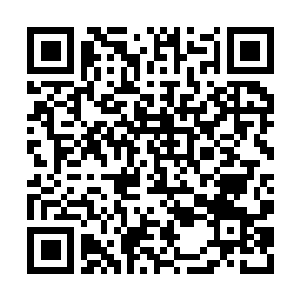 Lien vers votre campagne QRCode - Collecte de fonds