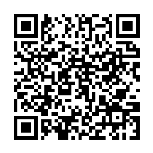 Lien vers votre campagne QRCode - Collecte de fonds