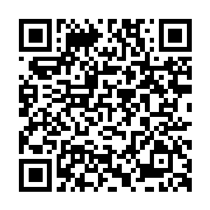 Lien vers votre campagne QRCode - Collecte de fonds