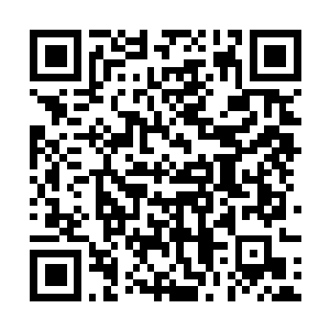 Lien vers votre campagne QRCode - Collecte de fonds