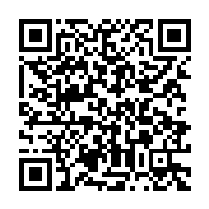 Lien vers votre campagne QRCode - Collecte de fonds