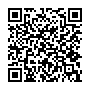 Lien vers votre campagne QRCode - Collecte de fonds