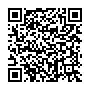 Lien vers votre campagne QRCode - Collecte de fonds