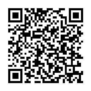 Lien vers votre campagne QRCode - Collecte de fonds