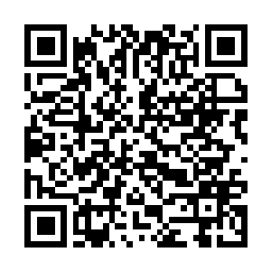 Lien vers votre campagne QRCode - Collecte de fonds