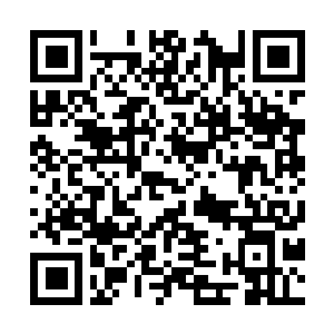 Lien vers votre campagne QRCode - Collecte de fonds