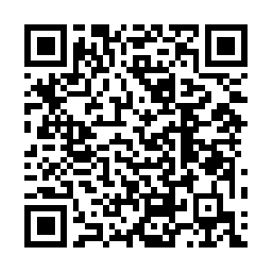 Lien vers votre campagne QRCode - Collecte de fonds