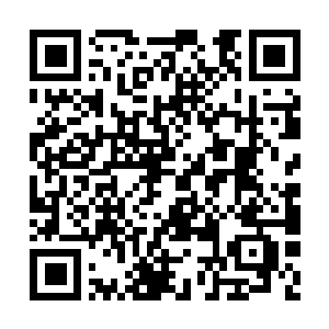 Lien vers votre campagne QRCode - Collecte de fonds