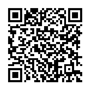 Lien vers votre campagne QRCode - Collecte de fonds