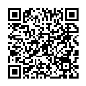 Lien vers votre campagne QRCode - Collecte de fonds