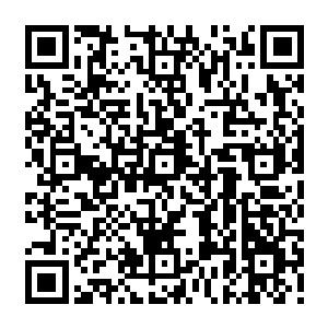 Lien vers votre campagne QRCode - Collecte de fonds