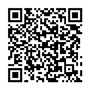 Lien vers votre campagne QRCode - Collecte de fonds