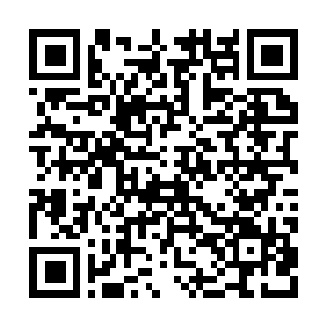 Lien vers votre campagne QRCode - Collecte de fonds