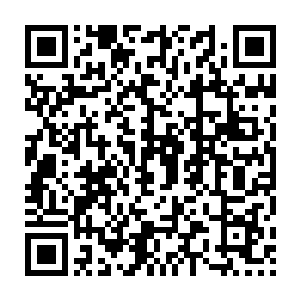 Lien vers votre campagne QRCode - Collecte de fonds