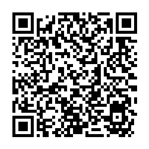 Lien vers votre campagne QRCode - Collecte de fonds
