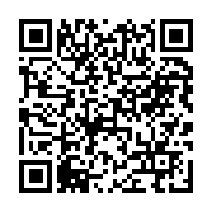 Lien vers votre campagne QRCode - Collecte de fonds