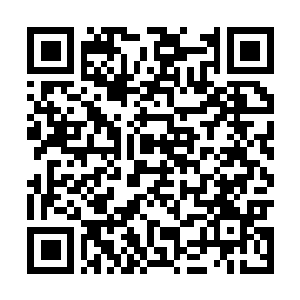 Lien vers votre campagne QRCode - Collecte de fonds
