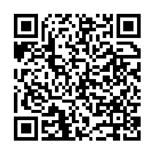 Lien vers votre campagne QRCode - Collecte de fonds