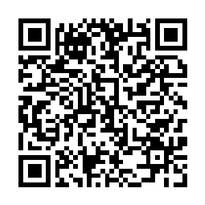 Lien vers votre campagne QRCode - Collecte de fonds