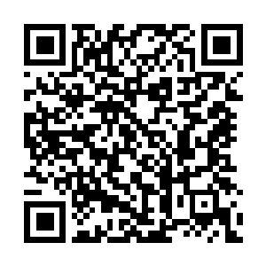 Lien vers votre campagne QRCode - Collecte de fonds