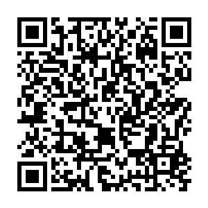 Lien vers votre campagne QRCode - Collecte de fonds