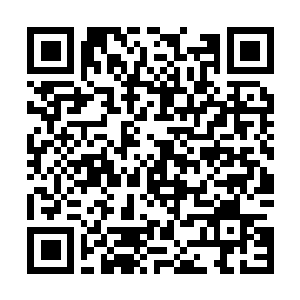 Lien vers votre campagne QRCode - Collecte de fonds