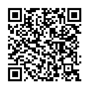 Lien vers votre campagne QRCode - Collecte de fonds