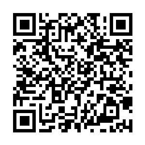 Lien vers votre campagne QRCode - Collecte de fonds