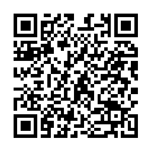 Lien vers votre campagne QRCode - Collecte de fonds