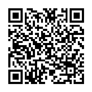 Lien vers votre campagne QRCode - Collecte de fonds