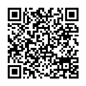 Lien vers votre campagne QRCode - Collecte de fonds