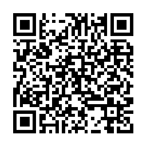 Lien vers votre campagne QRCode - Collecte de fonds