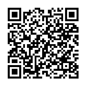 Lien vers votre campagne QRCode - Collecte de fonds