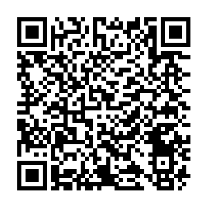 Lien vers votre campagne QRCode - Collecte de fonds