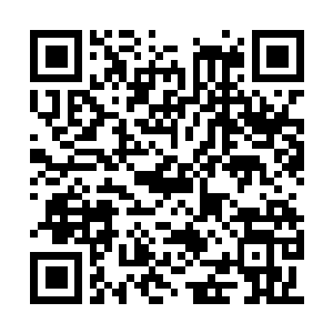 Lien vers votre campagne QRCode - Collecte de fonds