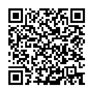 Lien vers votre campagne QRCode - Collecte de fonds