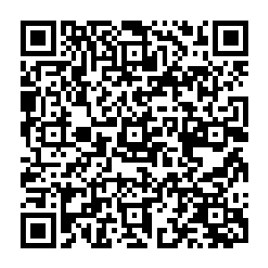 Lien vers votre campagne QRCode - Collecte de fonds