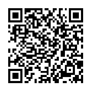 Lien vers votre campagne QRCode - Collecte de fonds