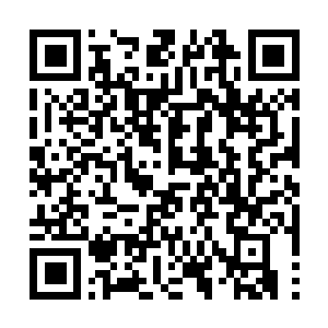 Lien vers votre campagne QRCode - Collecte de fonds