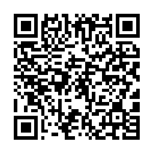 Lien vers votre campagne QRCode - Collecte de fonds
